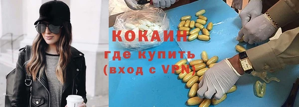 гидра Гусь-Хрустальный