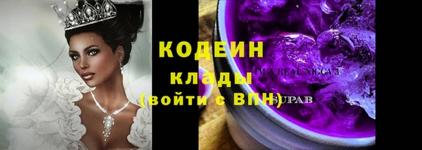 гидра Гусь-Хрустальный