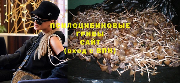 mix Гусиноозёрск