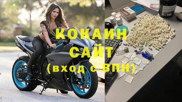 альфа пвп Гусев