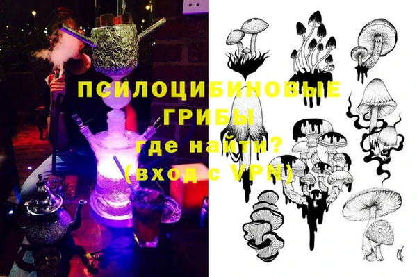 гидра Гусь-Хрустальный