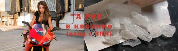 альфа пвп Гусев