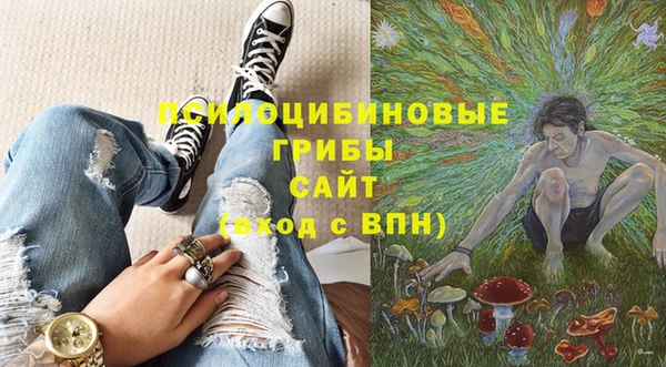 альфа пвп Гусев