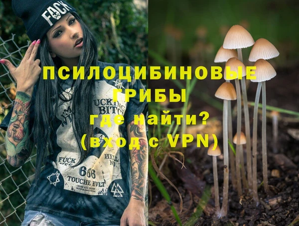 гидра Гусь-Хрустальный