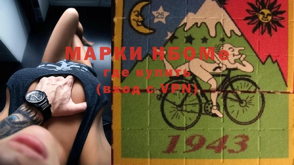альфа пвп Гусев